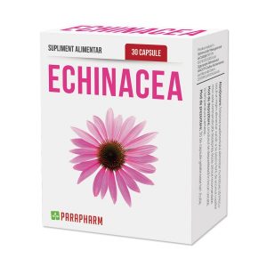 Echinacea - eficient împotriva atacurilor bacteriene și virale